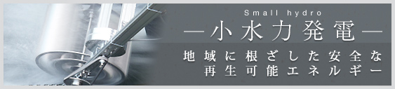 小水力発電　地域に根ざした安全な再生可能エネルギー
